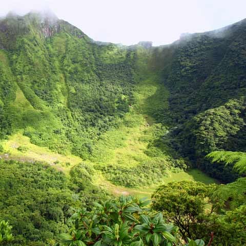 St Kitts Nevis